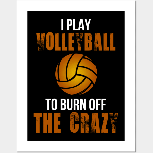 I Play Volleyball To Burn Off The Crazy Wall Art by schaefersialice